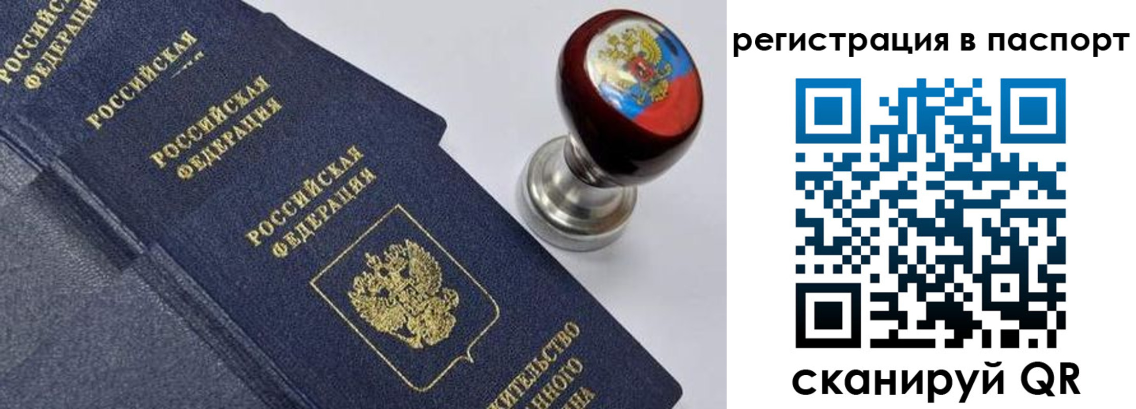 прописка поиск в Алексине